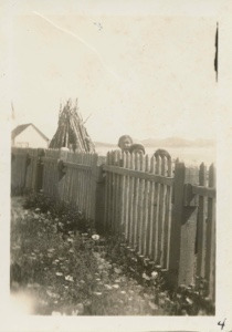 Image of Eskimo [Inuit] children looking over fence`